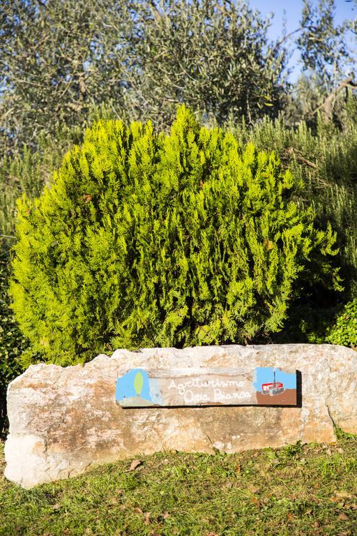 فيلا San Quirico dʼOrciaفي Agriturismo Oria Bianca المظهر الخارجي الصورة